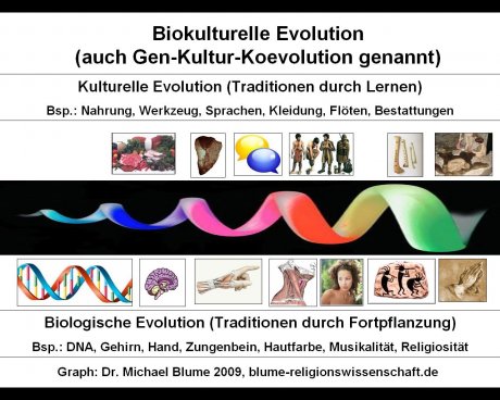 Biokulturelle Evolution oder Gen-Kultur-Koevolution (Schaubild, Blume 2009)