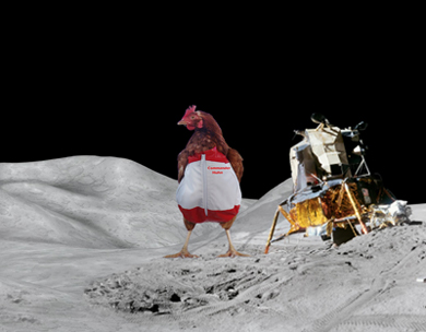 Huhn on Moon